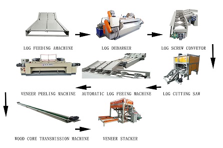L&iacute;nea de producci&oacute;n de madera contrachapada de 8 pies