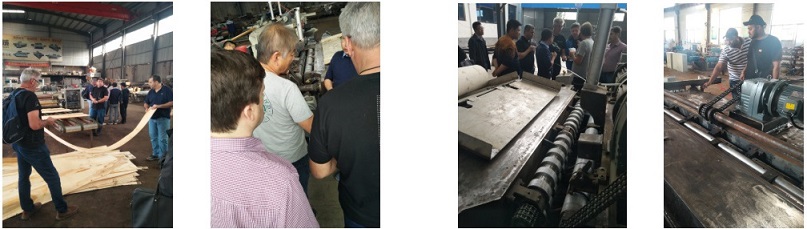 revista de actualidad