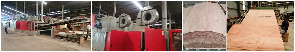 m&aacute;quina secadora de chapa