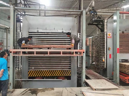 revista de actualidad