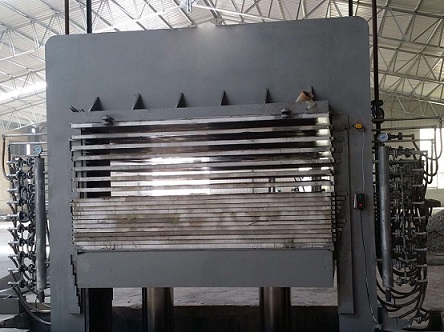 revista de actualidad